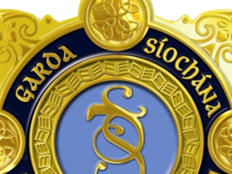 Gardai seek witnesses to violent assault