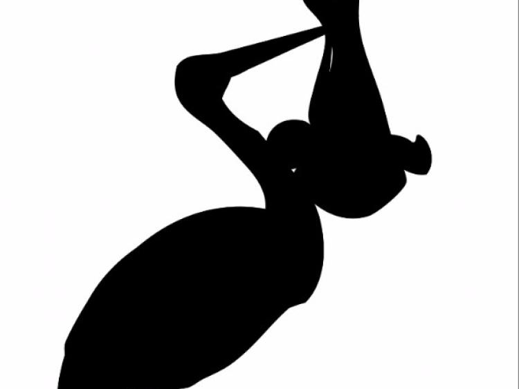 REVEALED: The most popular baby names in Louth in 2016