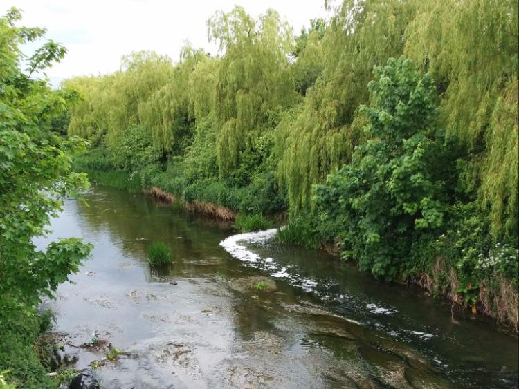 Ardee Foul Odour Addressed