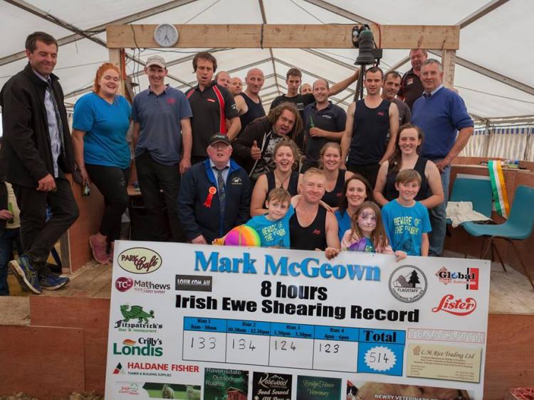 Ravensdale man sets Irish sheep shearing record