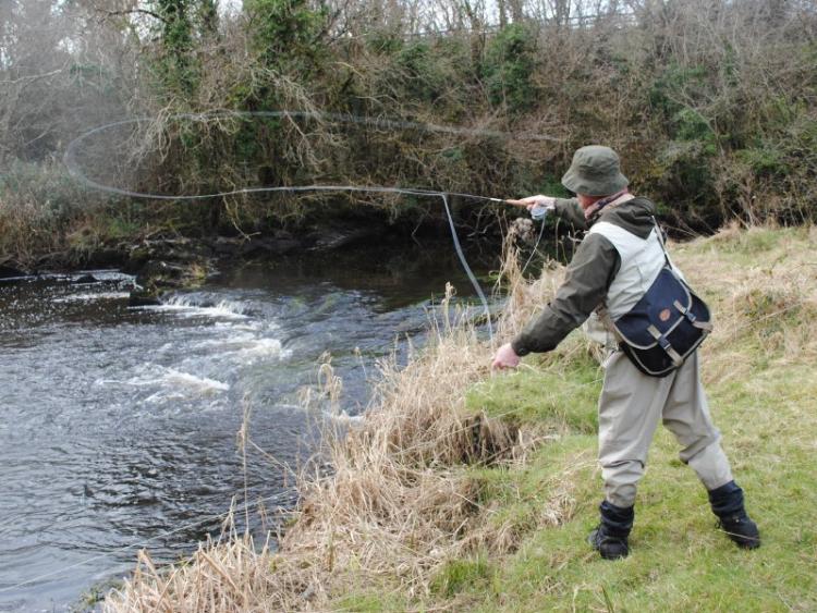Second year of 'catch and release' in the Fane River