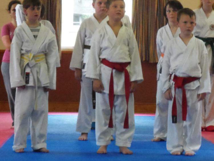 Dundalk Karate benefit from IKFC training 