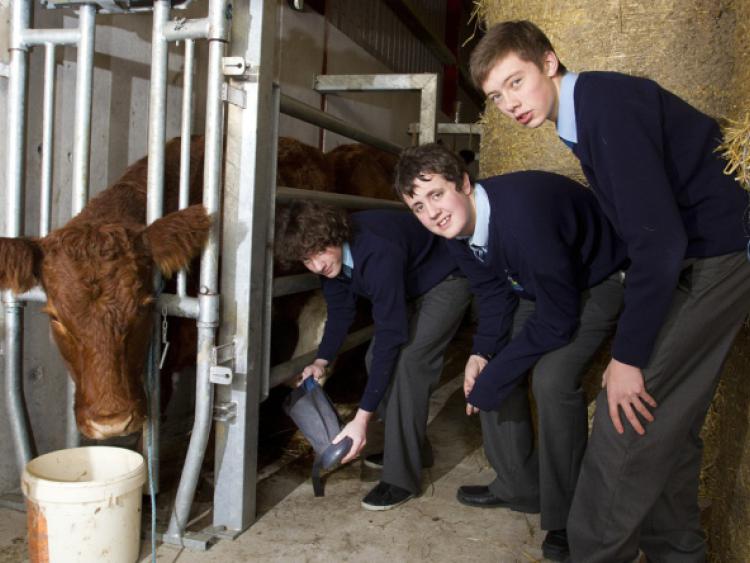 Bush scoop top awards at BT Young Scientist exhibition 