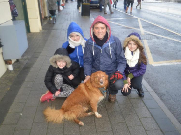 Brave Ginger the dog fearless in the face of Blackrock&rsquo;s stormy waves 