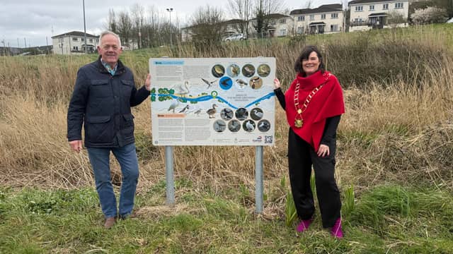 The four panels - one on the north side of the river and three on the south - are located along a 2.5km stretch of the Greenway