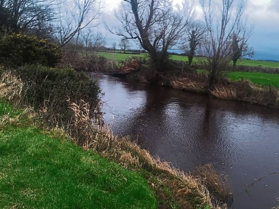 The annual river bank cleaning project is organised for Sunday, March 24, starting at 10am and meeting at Grove on the river Clashawley.