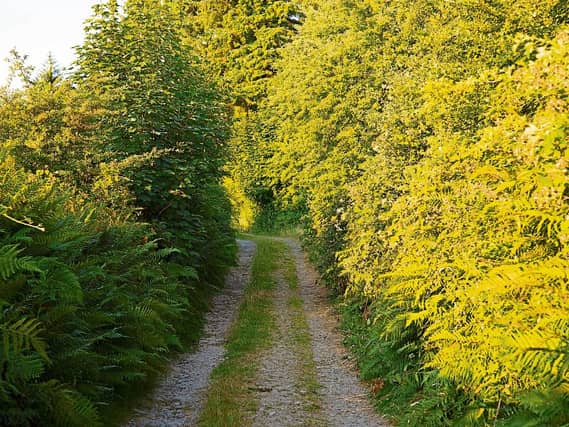 Louth allocated €2,500 from €1 million fund for walking trails