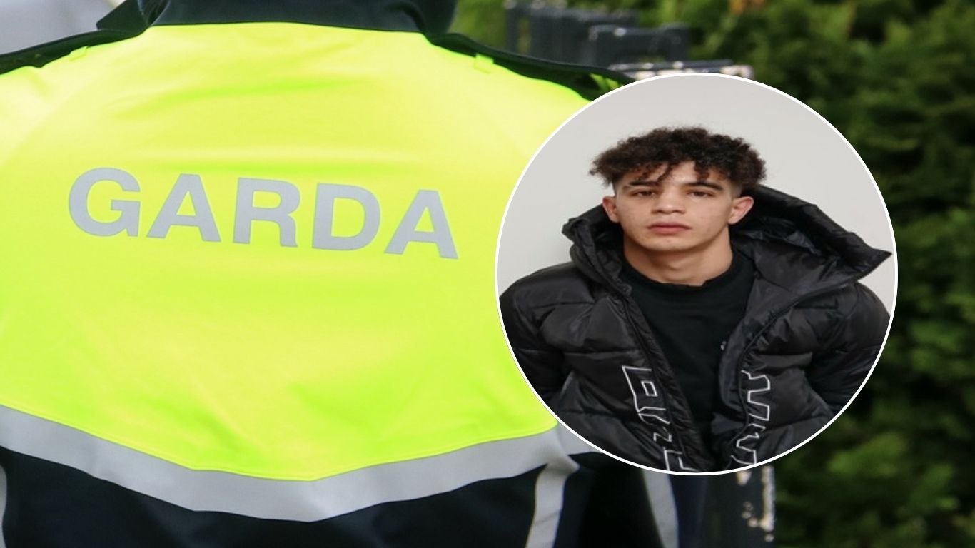 ALERT: Louth gardai in Christmas appeal for help in locating missing 13 ...
