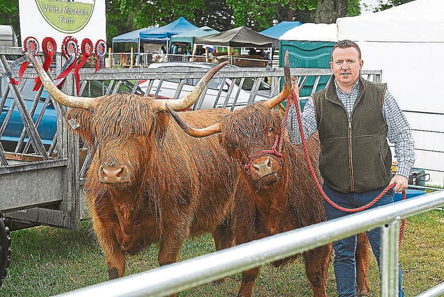 Andrew Agnew with his Highland Cattle at the 2024 Dundalk Show. Photo: Arthur Kinahan