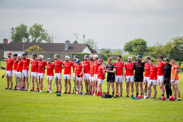 The Louth senior hurling side. Picture by Ciarán Culligan/Louth GAA