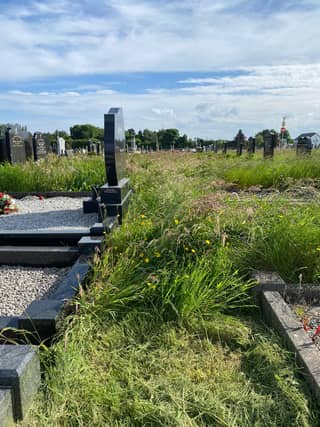 An image shared by Cllr Kelly of St Patrick's Cemetery