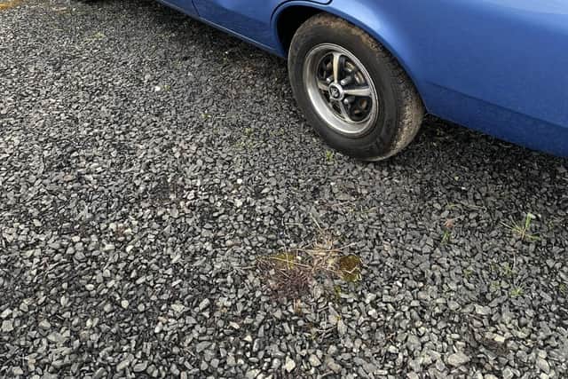 However, when Sharleen spotted the blue Chevette in Belfast, she vowed she would do anything it took to buy it and nicknamed it ‘Stevie’.