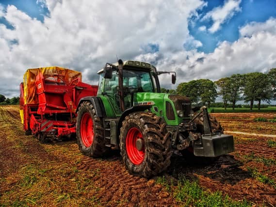 Niall Minogue now operates Agriglobal People, which is aimed at young farmers seeking work abroad. PICTURE: PIXABAY