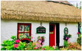 The Fisherman’s Thatched Inn - a gem in the heart of rural Laois