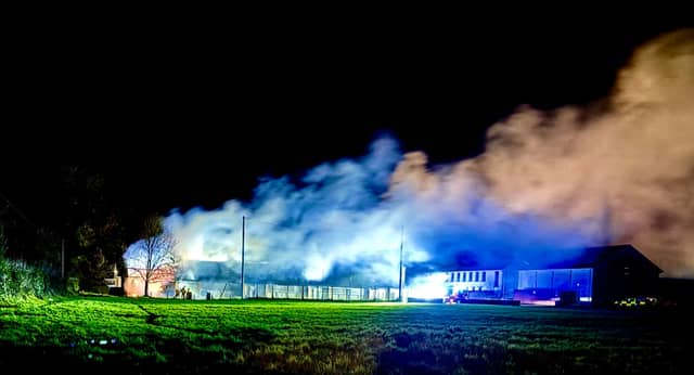 PICTURE: McCarthys of Fethard (via Facebook)