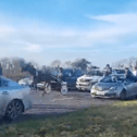 A still from footage of a sulky race on the N20 that has been widely shared on social media