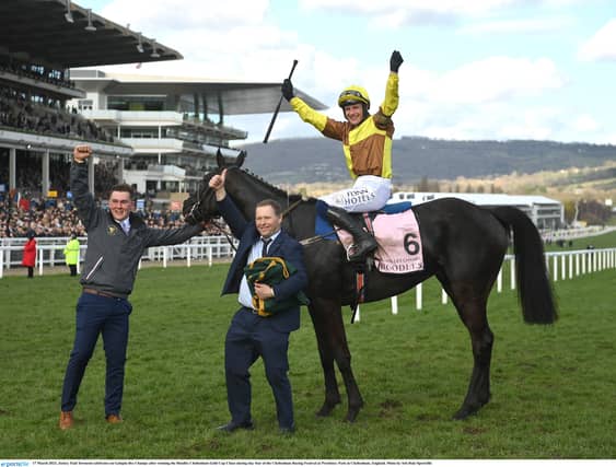 Jockey Paul Townend celebrates on Galopin Des Champs after winning the Boodles Cheltenham Gold Cup. (Picture: Sportsfile)