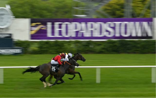 Leopardstown Racecourse hosts a cracking midweek card on Thursday evening with a seven-race card for punters to enjoy. The action gets underway at 5.30pm and finishes at 8.30pm.
