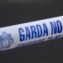 The incident took place on the Ballacolla to Rathdowney Road.