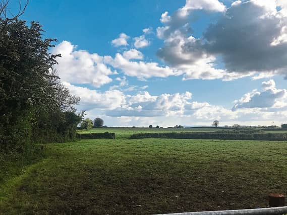 The land that is up for auction