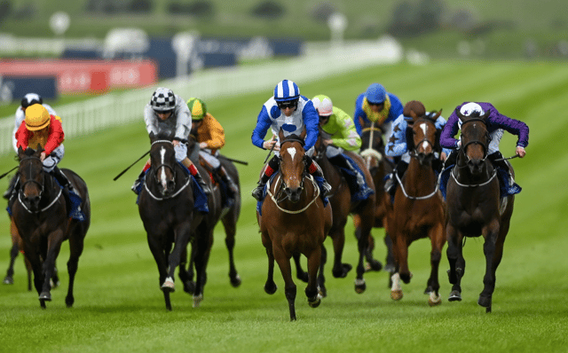 RACING: The horse worth a bet in this weekend's Epsom Derby