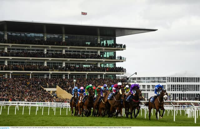 Cheltenham Festival 2022 Day 1 Tips - The horses worth a bet on Tuesday