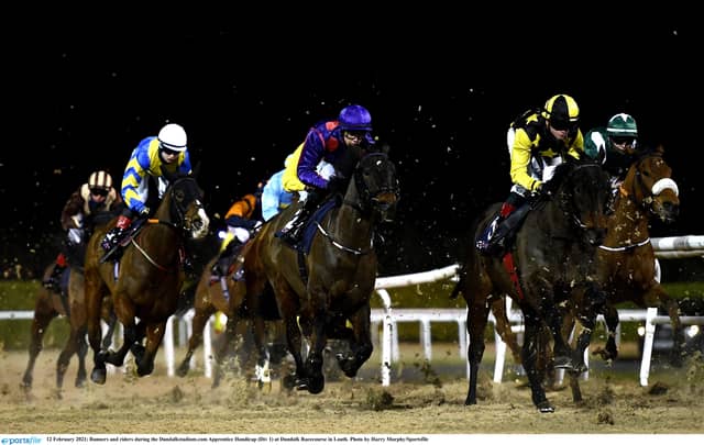 An action shot from racing at the track in Dundalk. (Pic: Sportsfile)