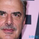 The US actor, 67, best known for his role as Mr Big in the hit TV series and current spin-off And Just Like That…