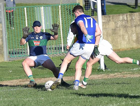 Val Leddy fires home a goal for St Martins against Rathvilly. (Pic: Arthur Kinahan)