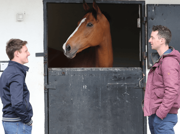 Paul Townend and Patrick Mullins with the recently retired Faugheen at the Irish National Stud.