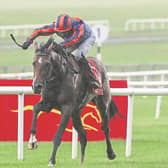 Seamie Heffernan gets Santiago home from Tiger Moth to land the Dubai Duty Free Irish Derby for Aidan O'Brien at the Curragh 2020. Photo: Caroline Norris/Racing Post