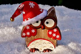 Stop here for Christmas in Offaly