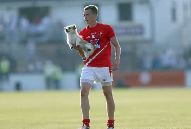 And so his return to the fray during Saturday afternoon’s O’Byrne Cup clash with Westmeath was a sight for sore eyes. In the 17 months since his homecoming, the raging talent has played just seven competitive matches. Ultimately, losing the weekend’s fixture was lodged in the irrelevant category given Byrne’s return. 