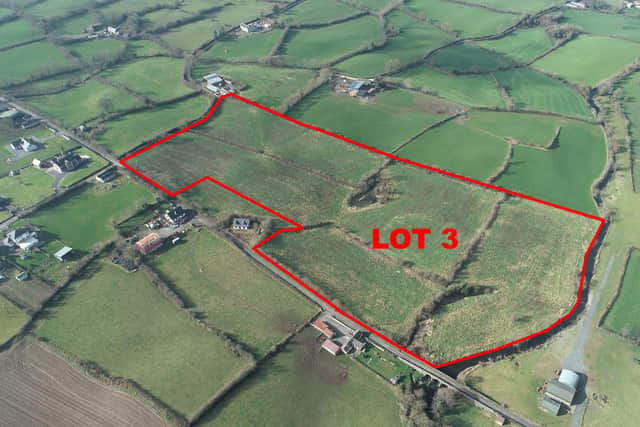 Huge 54 acre farm comes to market in north Louth
