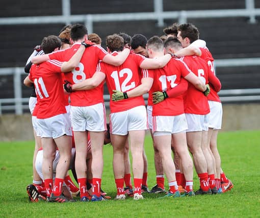 Louth senior team. (Pic: Arthur Kinahan)