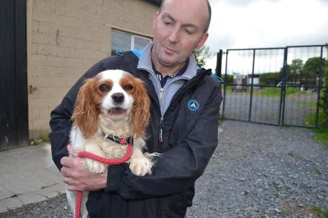 Susan praised all of the volunteers who devote so much of their time and energy to helping animals through Dundalk Dog Rescue.