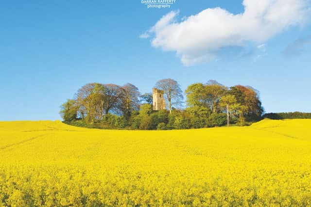 Call for immediate Special Protection status for Cu Chulainn's Castle in Dundalk