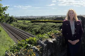 Senator Alison Comyn has called for a new railway station in North Louth