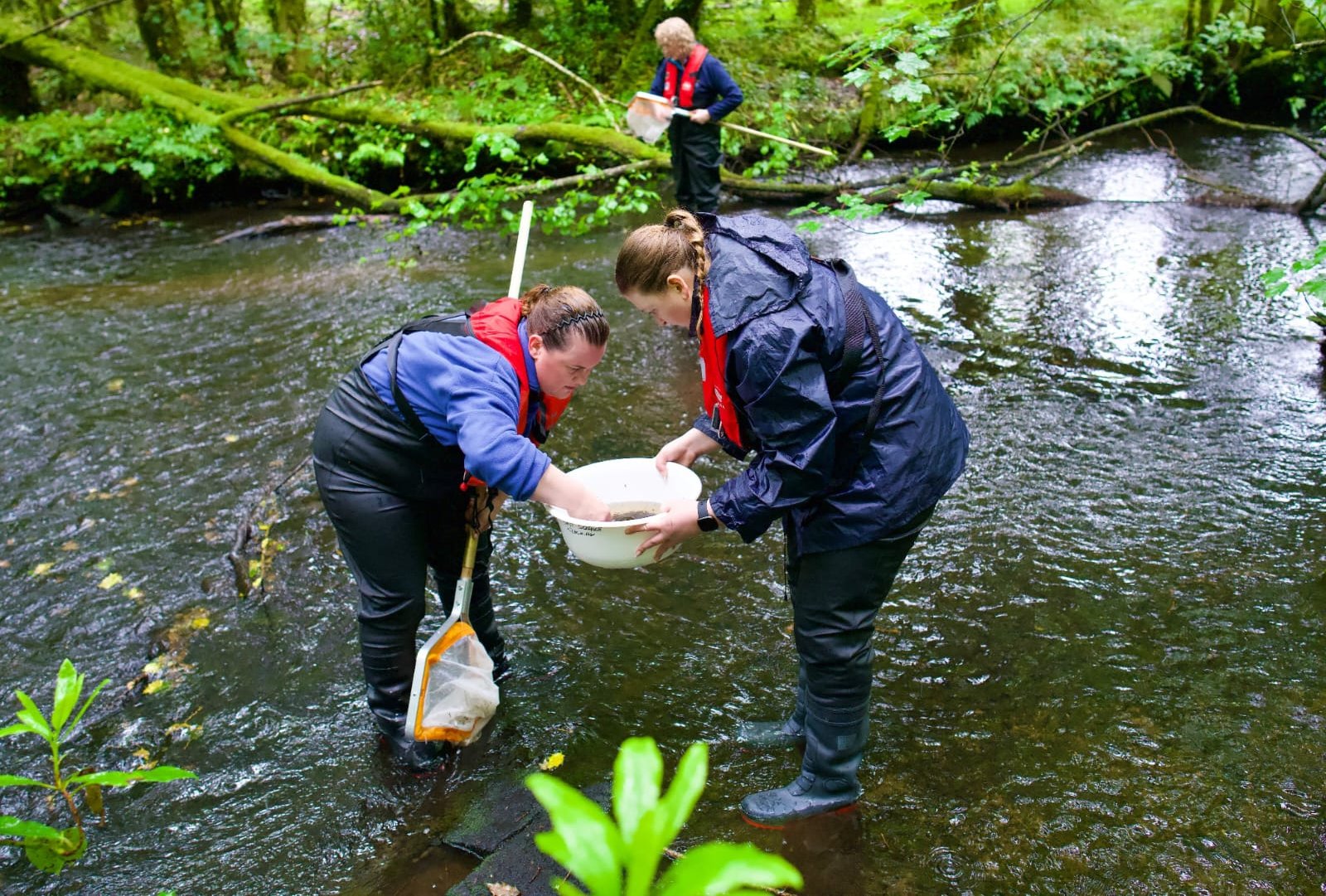 Dundalk IT developed app features in new national citizen science guidance