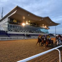 Dundalk Racecourse: Preview and tips for tonight’s eight-race meeting