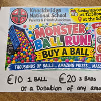 Louth school celebrates fundraising milestone with ‘Monster Ball Run’