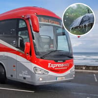 Storm Austen: Bus Éireann urges Louth users to check service updates