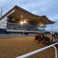 Dundalk Racecourse: Preview and tips for the eight-race meeting today