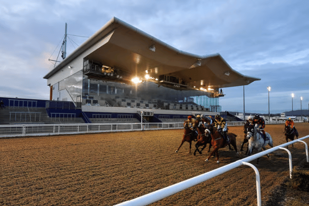 Dundalk Stadium will host an eight-race meeting today