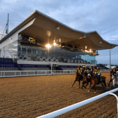 Dundalk Stadium will host an eight-race meeting today