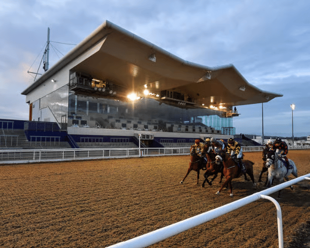 Dundalk Stadium will host an eight-race meeting today