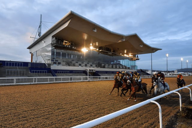 Dundalk Stadium will host an eight-race meeting today