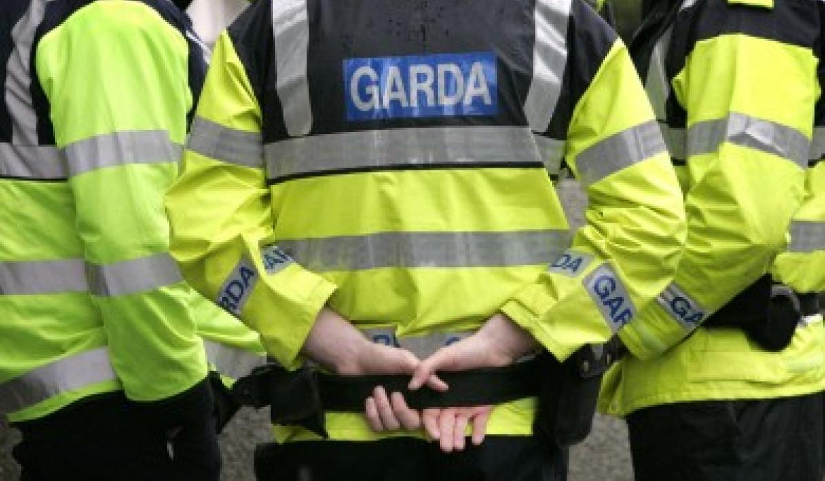Gardaí probe paint damage at north Louth property