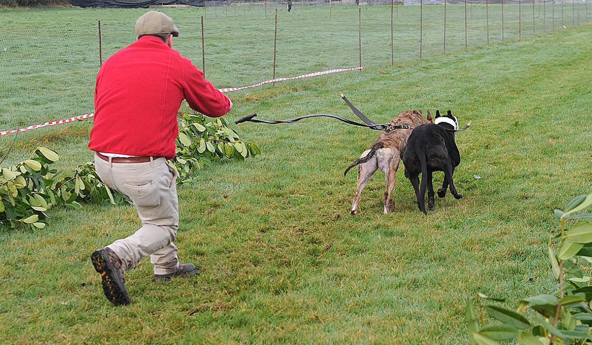 PHOTOS The Dundalk & Dowdallshill Coursing meeting at Dromiskin on St