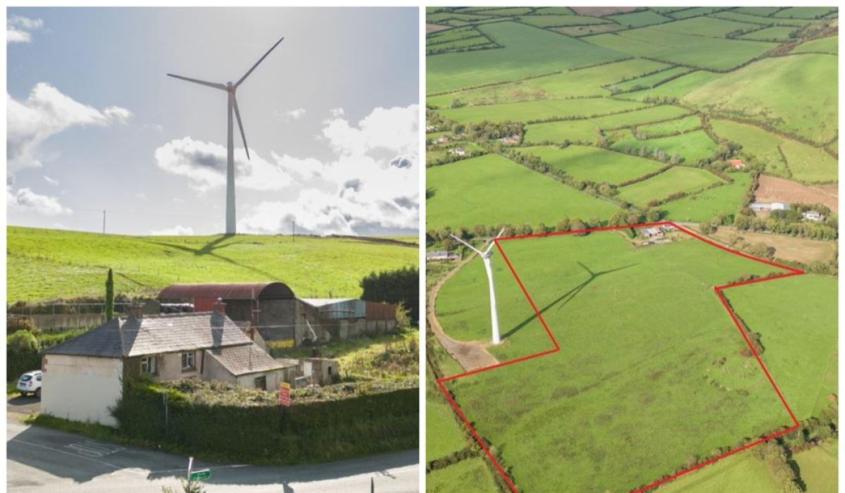 PICTURES Louth home, farm and almost 30 acres of 'good quality' land